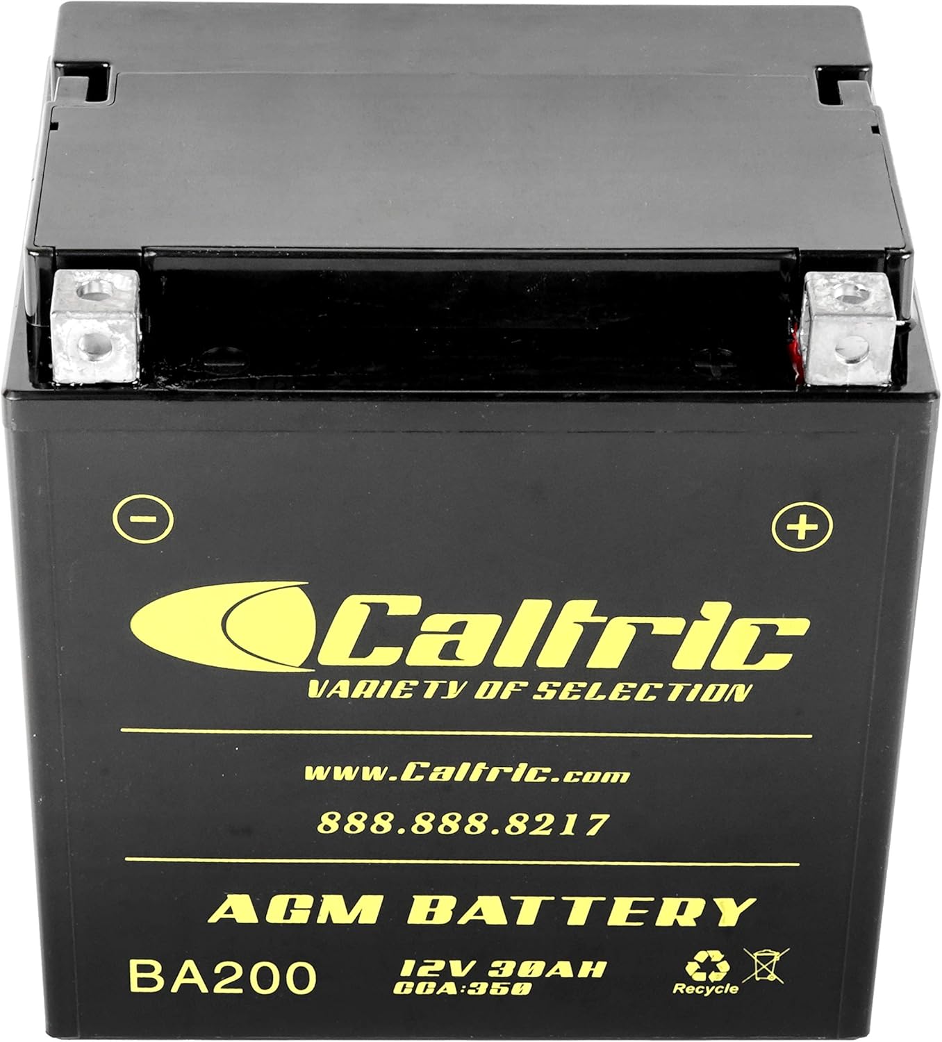 Caltric AGM Battery Compatible with Polaris Diesel 445 1999 2000 2001 2002 2003 12V / 30 AH/CCA 350