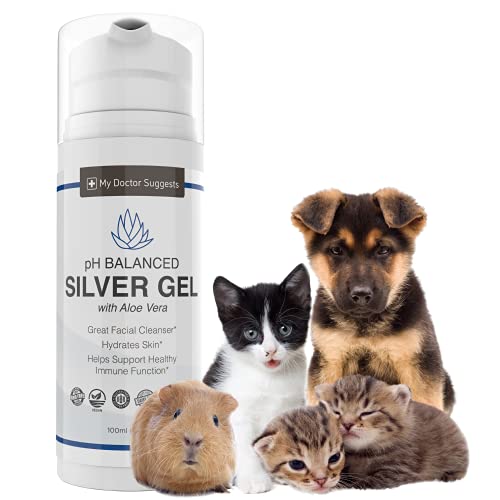 Silver Colloidal Gel with Aloe Vera, 3.38 oz (Pack of 2)