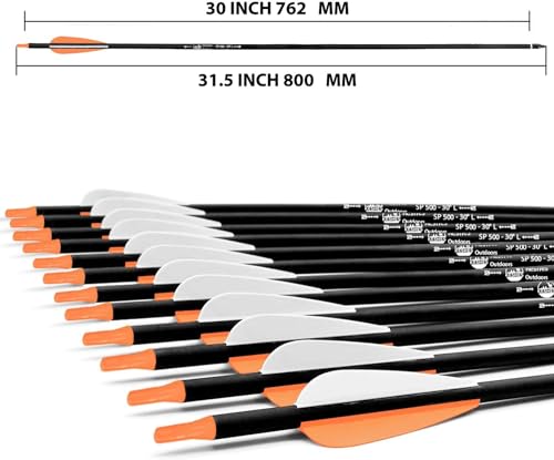 KESHES Archery Carbon Arrows for Compound & Recurve Bows - 30 inch Youth Kids and Adult Target Practice Bow Arrow - Removable Nock & Tips Points (12 Pack)