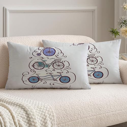 Set of 2 Velvet Decorative Square Throw Pillow Cover Colorful Basket Vintage Bicycle Holidays Bike Cruiser Parks Fashioned Old Tandem Christmas City Cushion Cover for 20x20 Inch Couch Bed Car