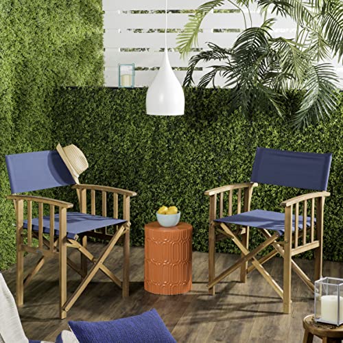 Safavieh PAT7004F-SET2 Outdoor Laguna Natural and Beige (Set of 2) Director Chair