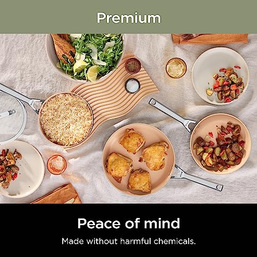 Ninja CW90026 Extended Life Premium Ceramic 10.25