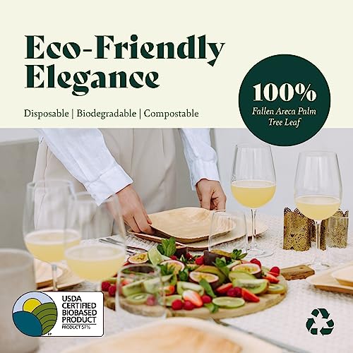 Chic Leaf Palm Leaf Plates Disposable Bamboo Plates Like 10 Inch & 7 Inch Round Party Pack (48 pk) Compostable and Biodegradable - Better than Plastic, Paper and Wood Plates
