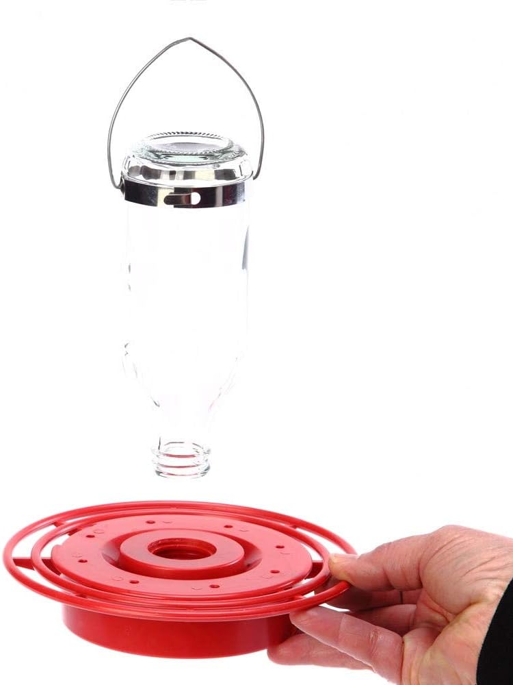 Birds Choice BEST8OZ Hummingbird Feeder with 8 Nectar Ports, Hummingbird Nectar Feeder, 8 oz Capacity, Red