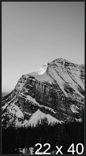 22 x 40 Satin Black Metal Frame (Ashford)