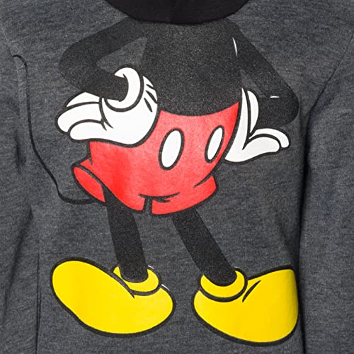 Disney Mickey Mouse Winnie the Pooh Tigger Fleece Cosplay Pullover Hoodie Infant to Big Kid