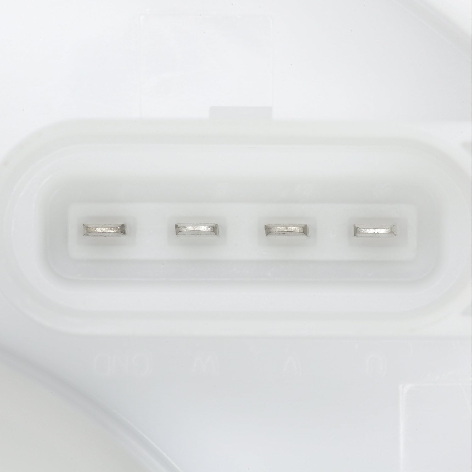 Delphi FG2087 Fuel Pump Module