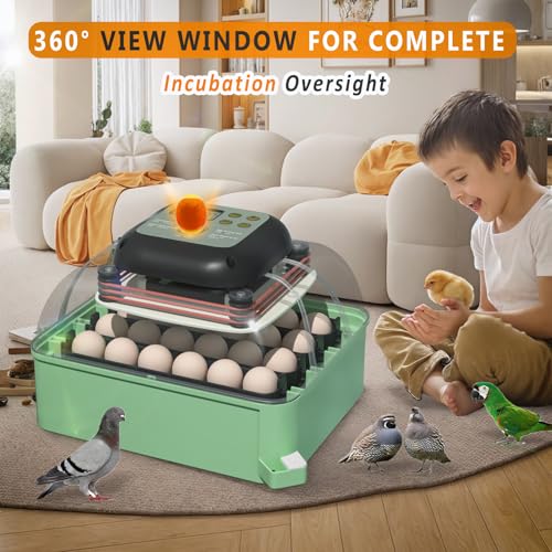Incubators for Hatching Eggs with Automatic Turner & Humidity Control - Ideal Chicken Egg Incubator - Holds 24 Eggs with Humidity Display, Egg Candler