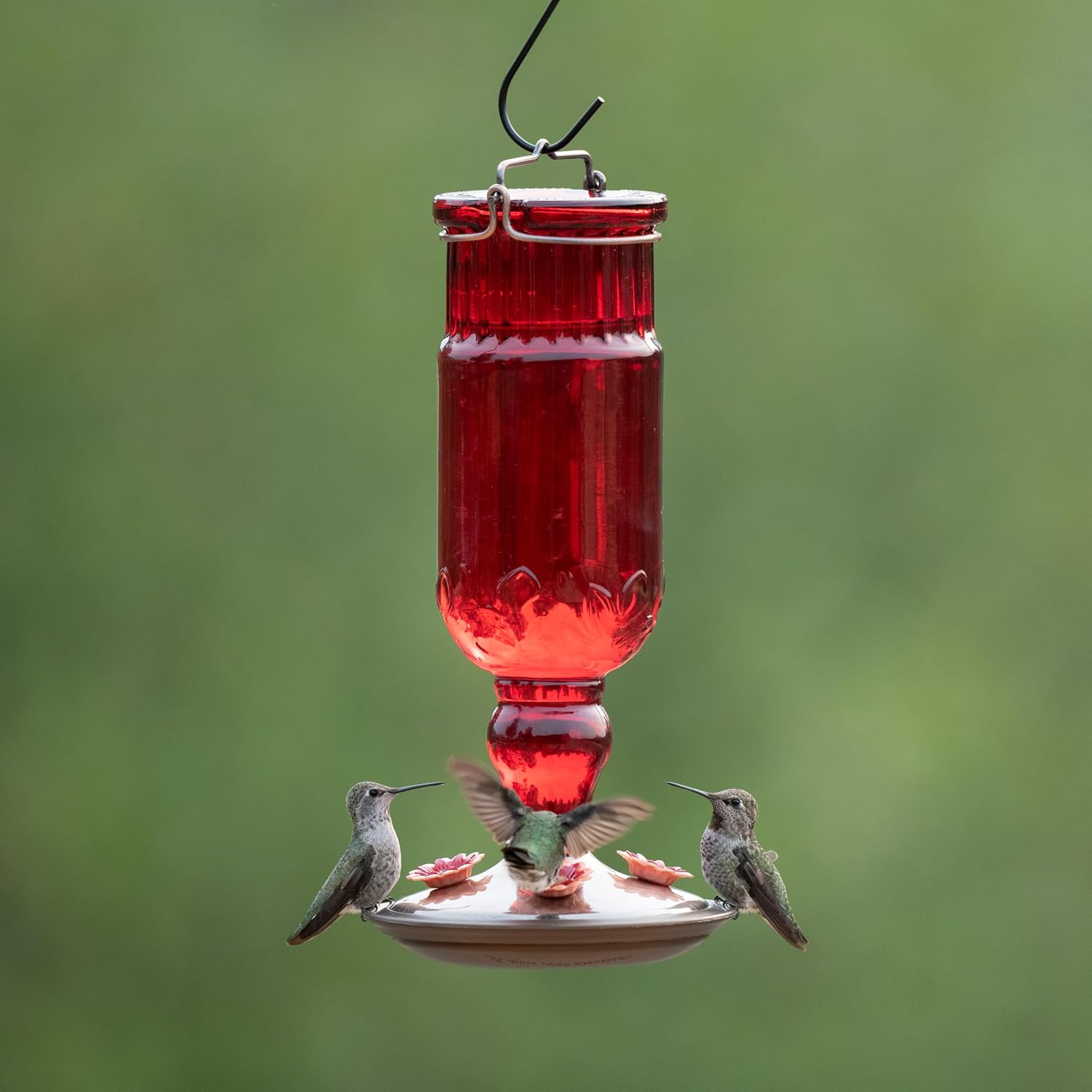 Perky-Pet 8119-2 Red Antique Bottle Hummingbird Feeder Large