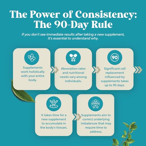 Vitamin B3 Niacinamide 500mg Capsules - Mitochondrial Energy and Potent Skin Supplement - AKA Vitamin B3 Niacin 500mg Flush Free and Nicotinamide 500mg - Flush Free Niacin Supplement - 240 Count