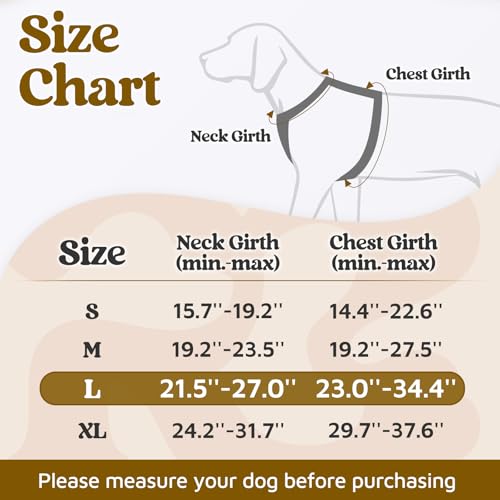 rabbitgoo Dog Harness for Large Dogs, No Pull Dog Vest Harness with 3 Buckles, Adjustable Soft Padded Pet Harness with Easy Control Handle and Reflective Strips, Black, XL