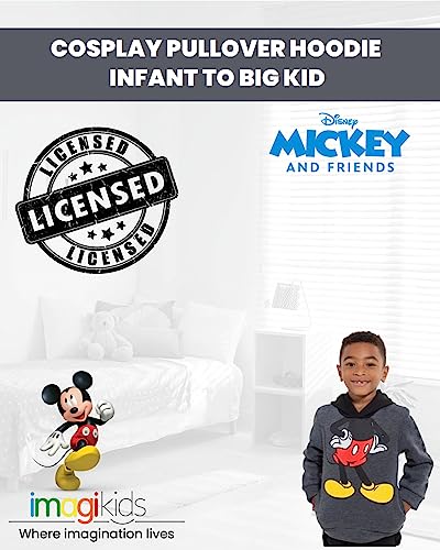 Disney Mickey Mouse Winnie the Pooh Tigger Fleece Cosplay Pullover Hoodie Infant to Big Kid