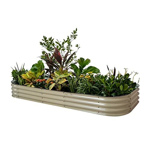 Vego garden Raised Garden Bed Kit, 17