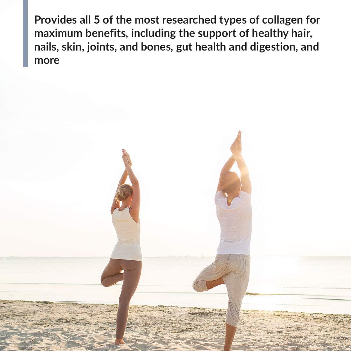 BioTrust Ageless Multi Collagen 5-in-1 Protein Powder (Vanilla) BlenderBottle Bundle