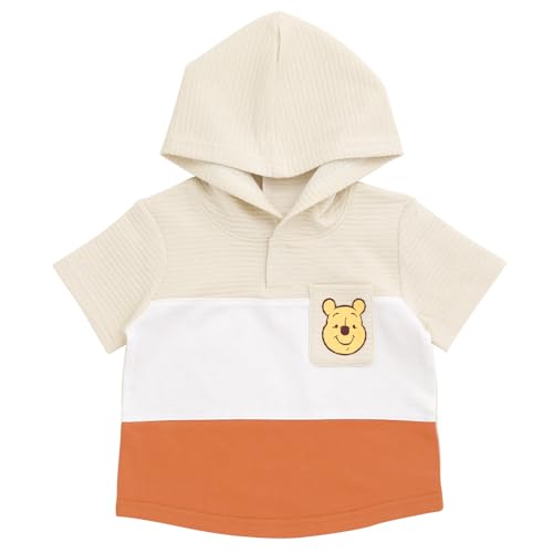 Disney Winnie the Pooh Pullover Hoodie and French Terry Shorts Newborn to Toddler