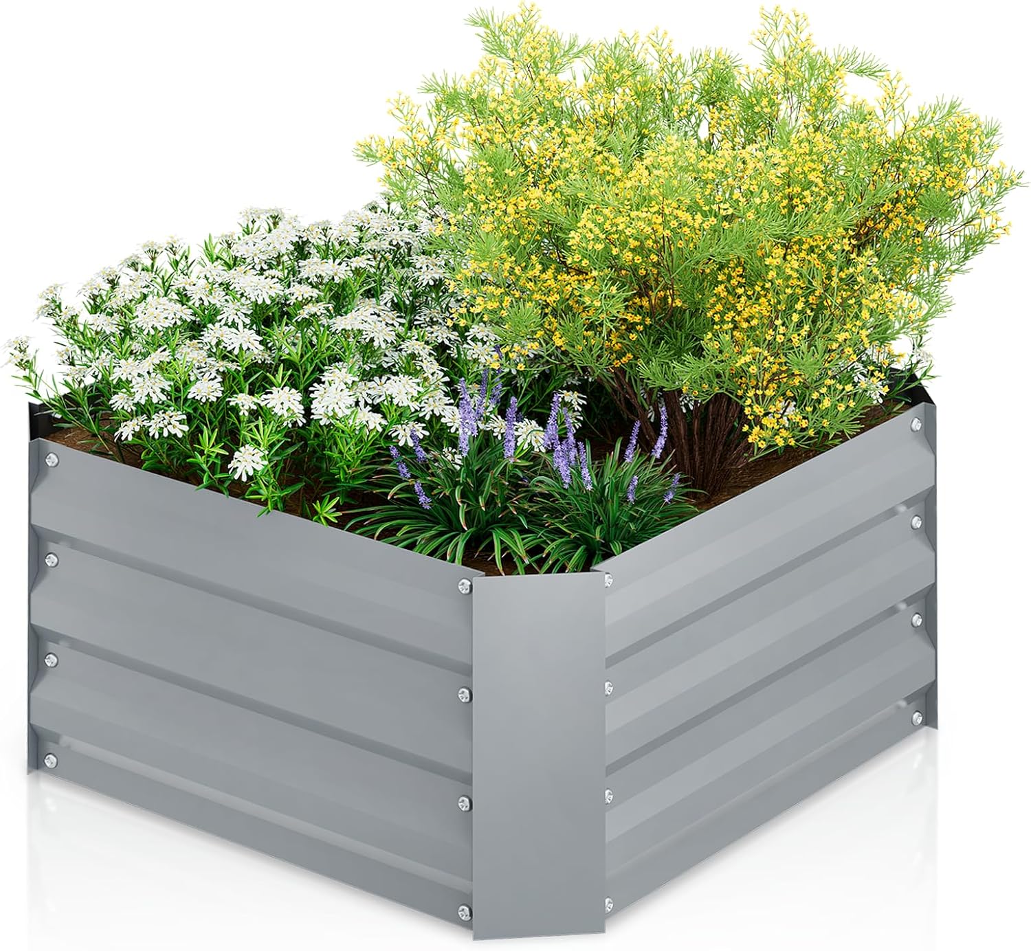 Magshion 24x24x12 Square Galvanized Raised Garden Bed Outdoor Metal Vegetable Planter Box for Vegetables, Flowers, Herbs, and Succulents Garden Bed Kit, Silver