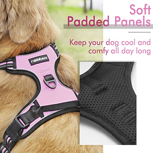 rabbitgoo Dog Harness, No-Pull Pet Harness with 2 Leash Clips, Adjustable Soft Padded Dog Vest, Reflective No-Choke Pet Oxford Vest with Easy Control Handle for Large Dogs, Beige, L