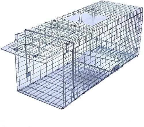 Faicuk Large Collapsible Humane Live Animal Cage Trap for Raccoon, Opossum, Stray Cat, Rabbit, Groundhog and Armadillo - 32