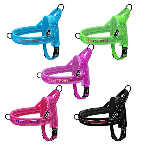 Didog Personalized Embroidered Dog Harness with Pet Name & Phone Number,Soft Flannel Padded Dog Vest Harness, Escape Proof/Quick Fit Reflective Dog Strap Harness,Easy for Walking Training