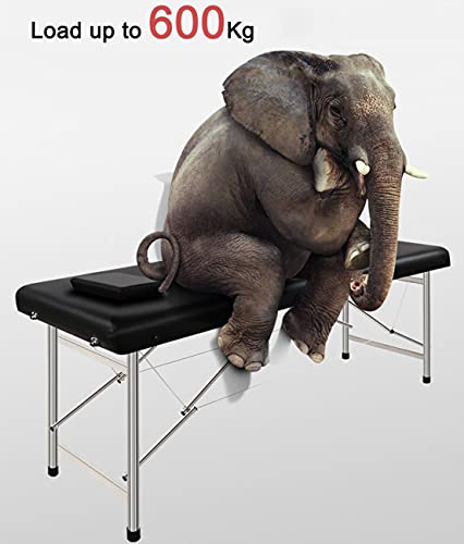 Massage Table Bed,Commercial Folding Massage Bed Couch Beauty Tattoo Spa Bed,Aluminum Feet Facial Tattoo Folding Salon Table,w/Carrying Bag (Pink)