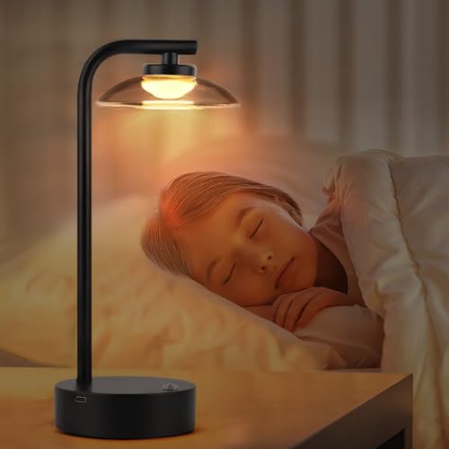 Cordless Battery Powered Led Table Lamp,3 Color Portable Rechargeable Desk Lamp,Minimalist Design Metal Table Lamps with Touch Control,for Living Room/Restaurants/Bars/Camping(Silver)………