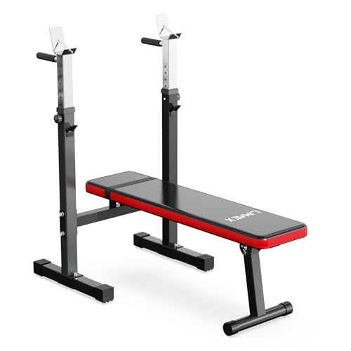 Adjustable Weight Bench Press with Squat Rack Folding Multi-Function Dip Station for Full Body Workout Home Gym Strength
