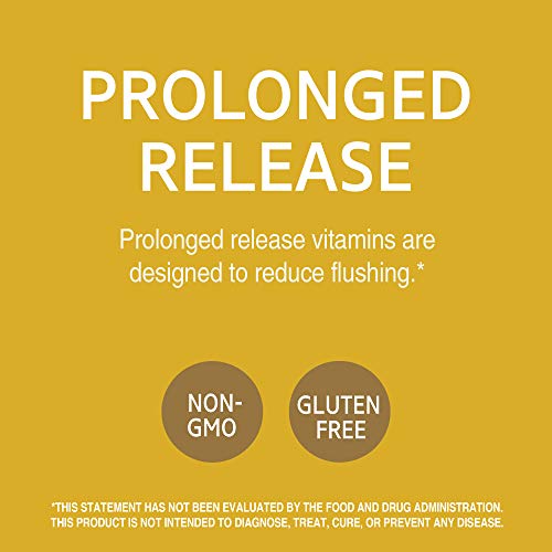 21st Century Niacin 500 mg Prolonged Release Tablets, 100 Count (27474)