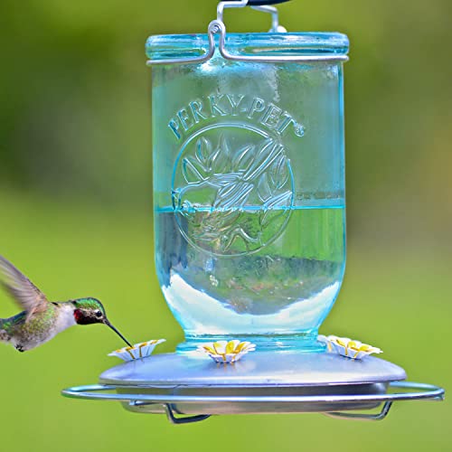 Perky-Pet 786-1SR Mason Jar Vintage Glass Hummingbird Feeder - Outdoor Garden Décor - 32-oz