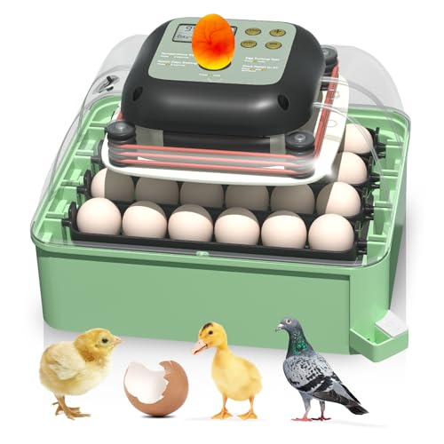 Incubators for Hatching Eggs, 24 Eggs Incubator with Automatic Egg Turning and Humidity Control, Ideal for Hatching Chicken, Duck, and Quail (Green)