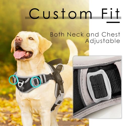 ADVENTUREMORE Dog Harness for Large Dogs No Pull, Sport Dog Halter Harness Reflective Breathable Dog Vest Escape Proof Dog Harness with Easy Control Front Clip Handle for Training Walking XL Purple
