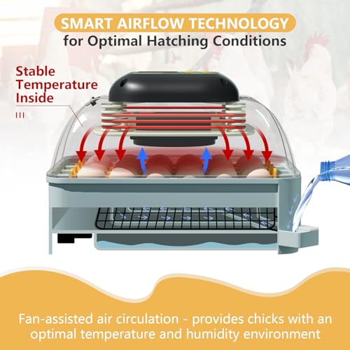Chicken Egg Incubator with Automatic Egg Turning and Humidity Control – Ideal for Chicken, Duck, and Quail Eggs – Holds 24 Eggs (Green)