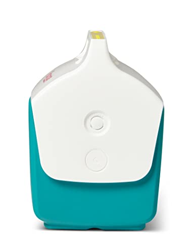 Igloo Classic Playmate Coolers