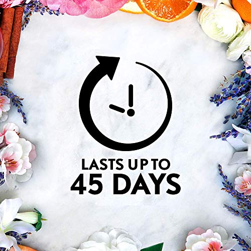 Air Wick Essential Mist Refill - Limited Edition Holiday Collection - Sweet Fruit & Nutmeg - Net Wt. 0.67 FL OZ (20 mL) Per Refill - Pack of 2 Refills