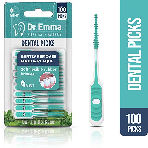 Dental Picks Mint Brush Picks 100Ct/Pack, 2 Packs (200Ct)