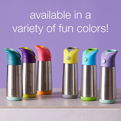 b.box 16.9 oz Insulated Water Bottle: Keeps Drinks Cold up to 15 Hours, Warm up to 8 Hours. Triple Wall Stainless Steel Kids Water Bottle. Dishwasher Safe (Blue Slate, 16.9 oz)