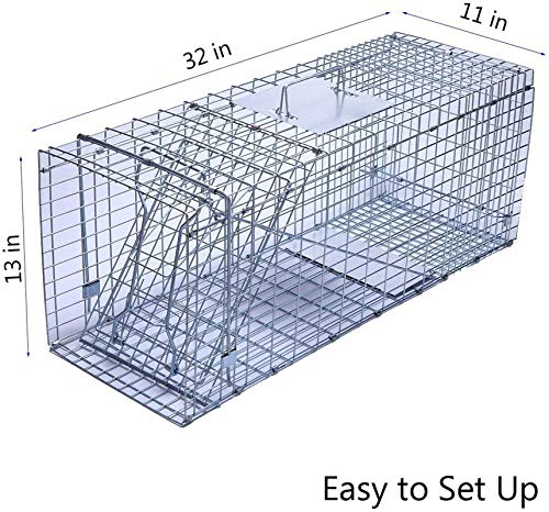 Faicuk Large Collapsible Humane Live Animal Cage Trap for Raccoon, Opossum, Stray Cat, Rabbit, Groundhog and Armadillo - 32