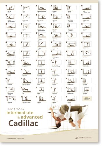 STOTT PILATES Wall Chart