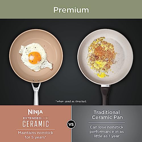Ninja CW90026 Extended Life Premium Ceramic 10.25