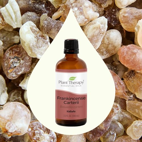 Plant Therapy Frankincense Carterii Essential Oil 100% Pure, Undiluted, Natural Aromatherapy, Therapeutic Grade 100 mL (3.3 oz)