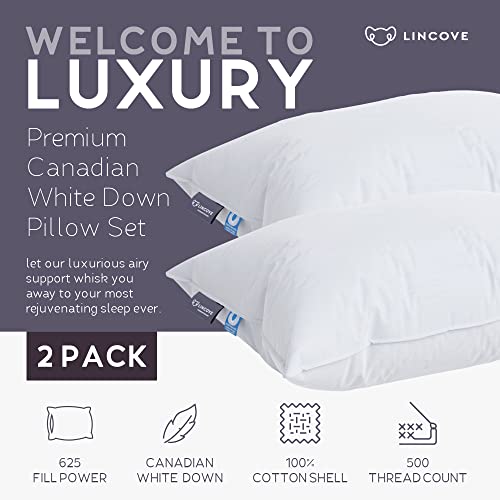 Lincove Cloud Natural Canadian White Down Luxury Sleeping Pillow - 625 Fill Power, 500 Thread Count Cotton Shell, Made in Canada, Standard - Soft, 1 Pack