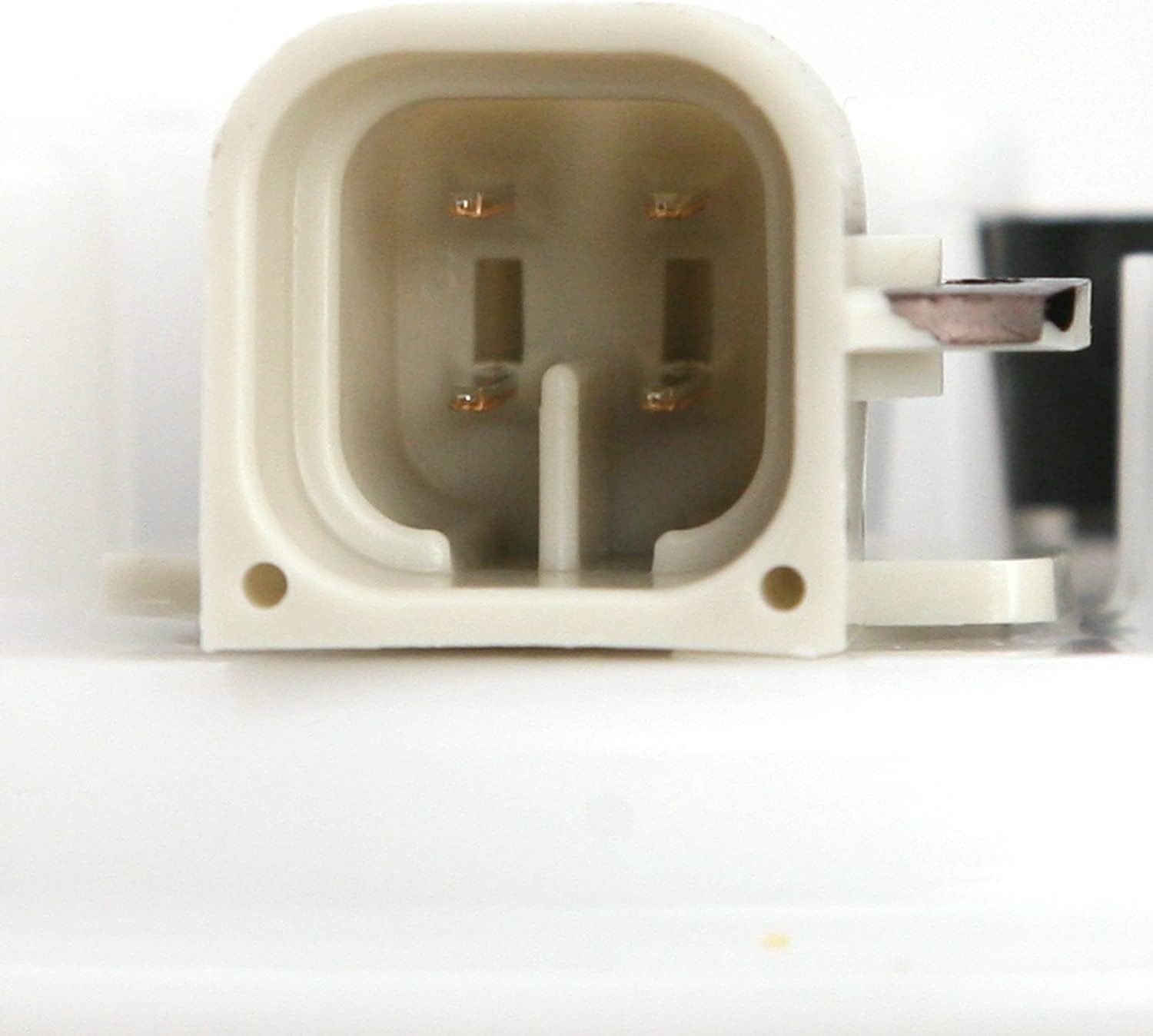 Delphi FG1003 Fuel Pump Module