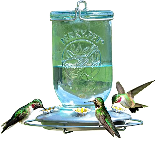 Perky-Pet 786-1SR Mason Jar Vintage Glass Hummingbird Feeder - Outdoor Garden Décor - 32-oz