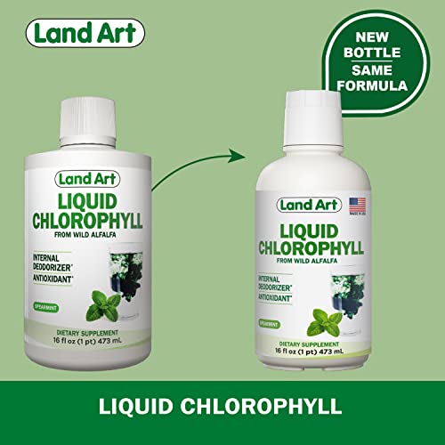 Liquid Chlorophyll Mint Flavored – Cold Extracted from wild Non-GMO Alfalfa - Alkaline - Natural Body Deodorant – Antioxidant - 16 fl oz