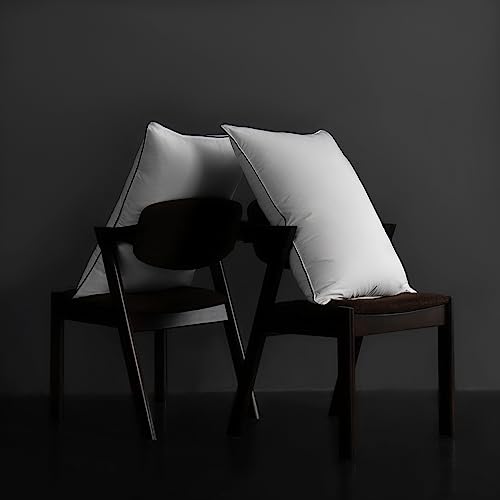 Luxury Hungarian Goose Down Pillows King Size 1 Pack, Medium Firm Bed Pillows for Sleeping, Hotel Pillow, 750 Fill Power, 460 TC Cotton Blend Shell, 20