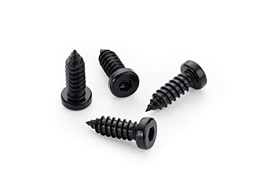 License Plate Screws 1/4-3/4, Self-tapping, Stainless Steel (Black)