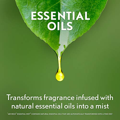 Air Wick Essential Mist, Essential Oils Diffuser, Sweet Fruit and Nutmeg, 1ct, Fall scent, Fall spray, Air Freshener, Packaging May Vary