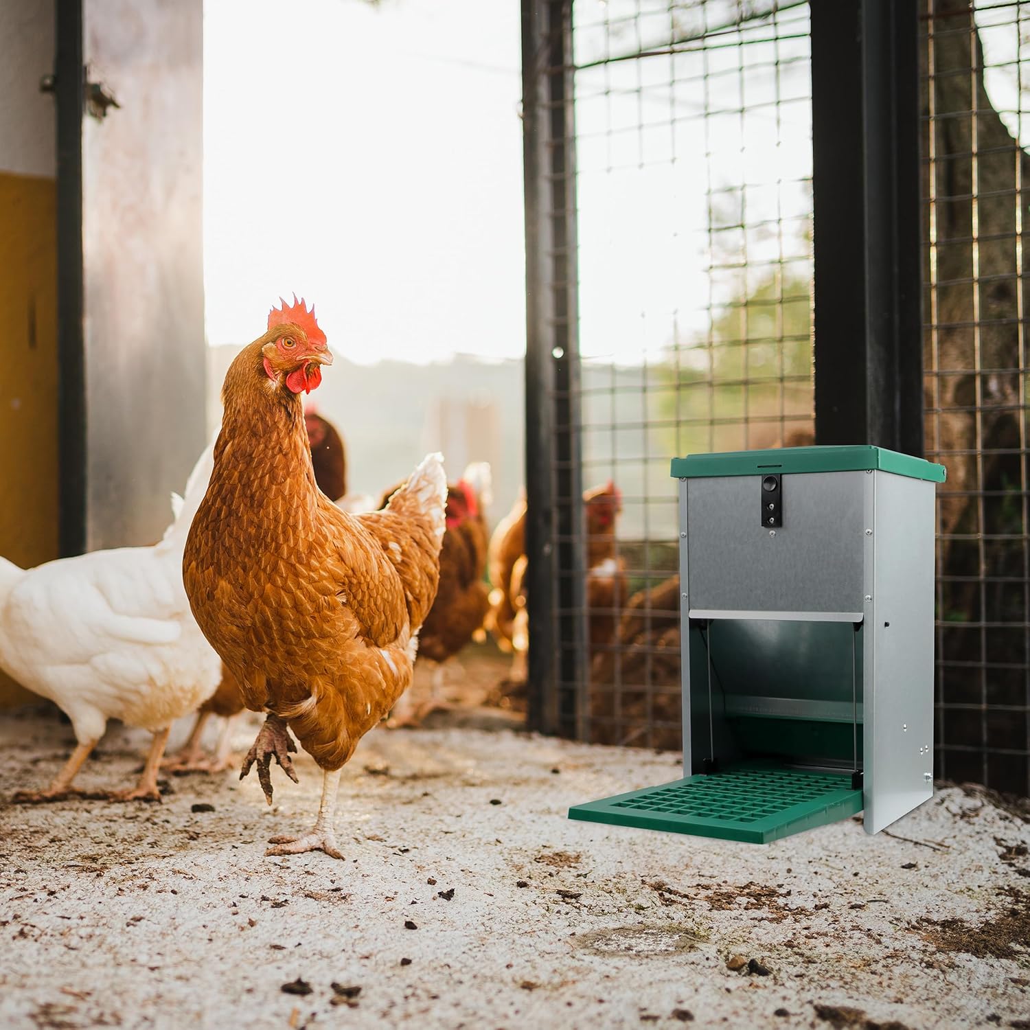 Chicken Treadle Feeder - 17.6 lb. Capacity, Pressure Lever Automatic Chicken Feeder System, Pest Proof