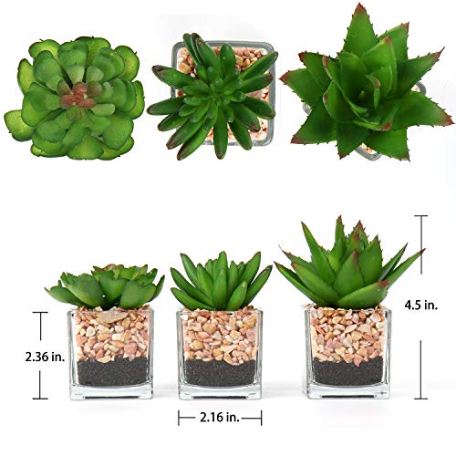 Briful Mini Fake Plants 3 Packs Cute Succulents Artificial Plants in Square Glass Vase Pot Potted Faux Succuletns for Living Room Dining Room Bathroom Kitchen Windowsill Table Decor