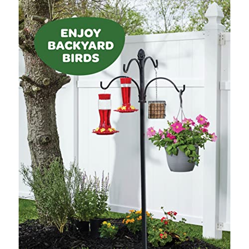 Hummingbird Feeder 20 oz [Set of 2] Glass Hummingbird Feeders for Outdoors, with Built-in Ant Guard - Circular Perch with 5 Feeding Ports - Wide Mouth for Easy Filling/2 Part Base for Easy Cleaning