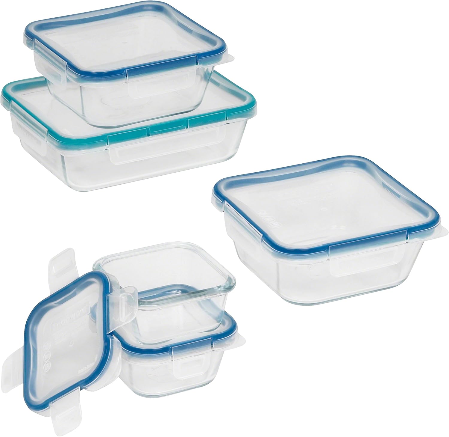 Snapware 10-Piece Total Solution Food Storage Set, Glass